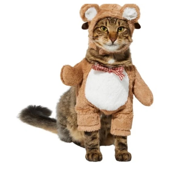 Brown Bear Costume for Cats or Small Dogs - Picture 1 of 3